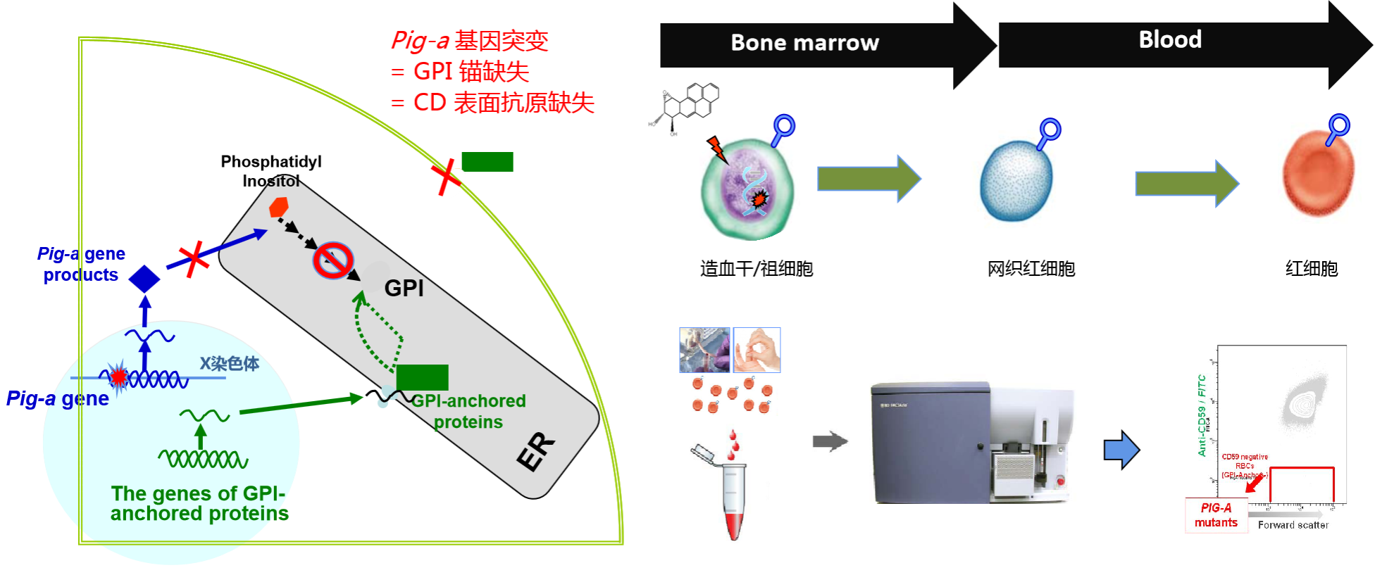 6CFE1