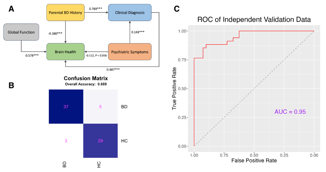 A diagram of a patient's diseaseDescription automatically generated